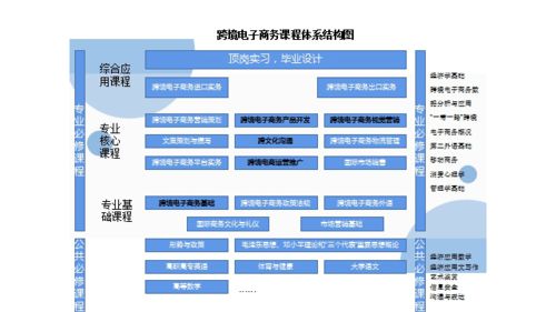 跨境电子商务专业高职